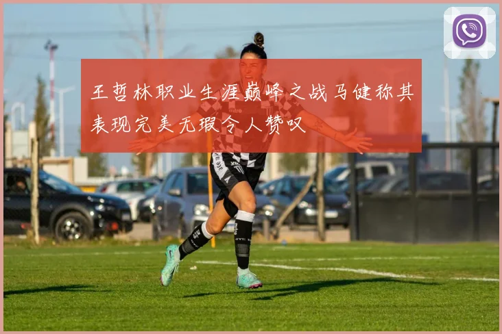 王哲林职业生涯巅峰之战马健称其表现完美无瑕令人赞叹